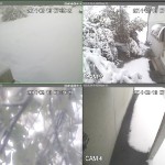 employee parking lot covered with six inches of snow