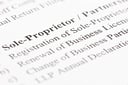 entity sole proprietorship